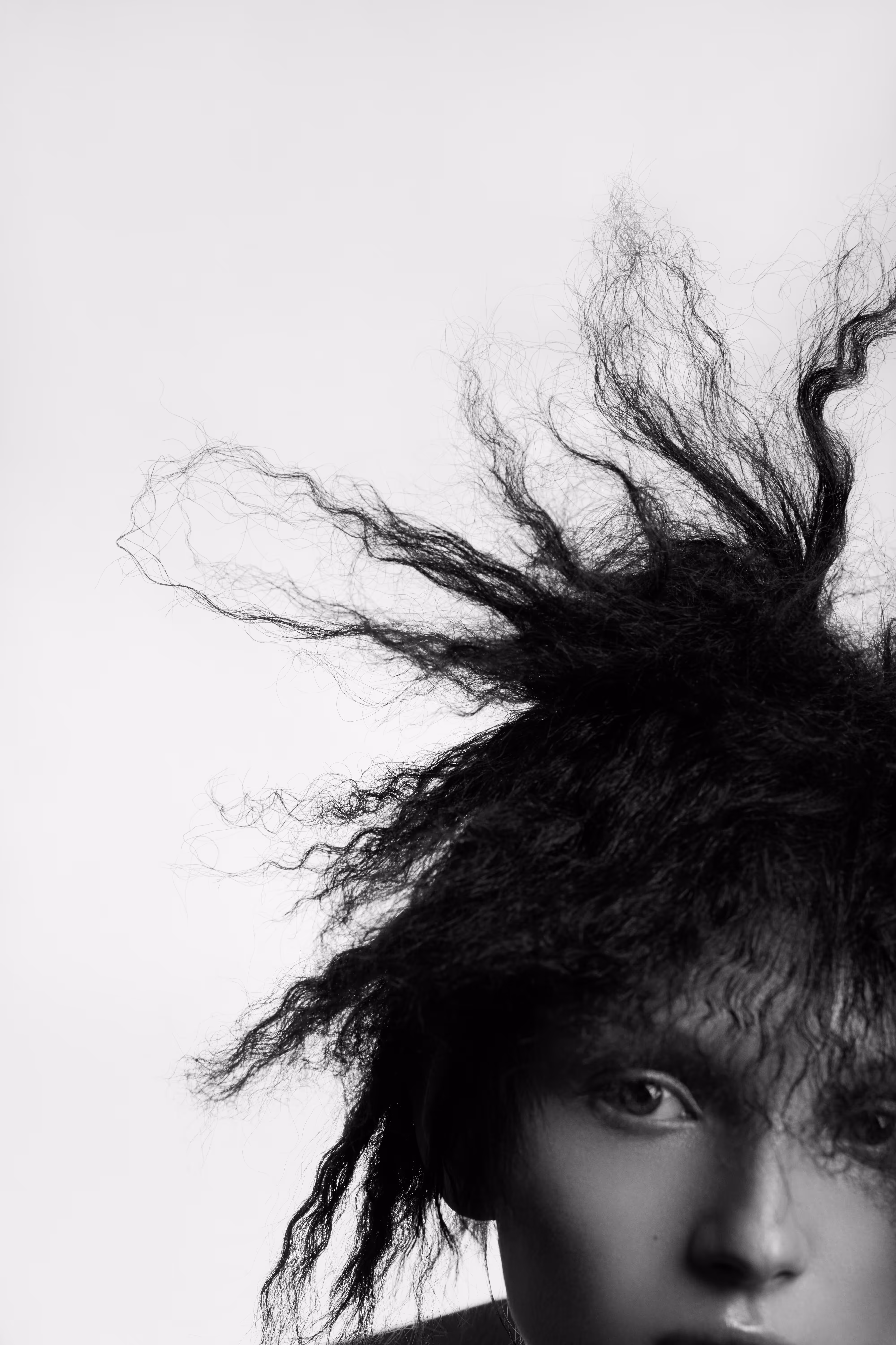 hair_study